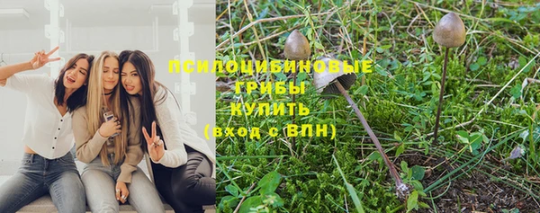 твердый Абинск